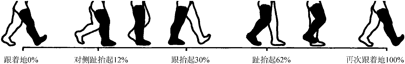 第一節(jié) 距小腿、足關(guān)節(jié)應(yīng)用解剖和生物力學(xué)